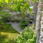 Steinmauer umgeben von Gras, Farnen und Blumenkübeln im Garten.