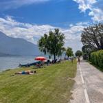 Grüner Strandabschnitt am See mit Sonnenschirmen und Bäumen. Menschen entspannen sich am Ufer.