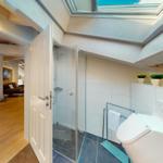 Badezimmer mit Dusche, Toilette und Dachfenster. Blick in Wohnbereich mit Sofa.