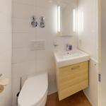 Badezimmer mit Toilette, Waschbecken und Spiegel. Holzoptik unter Waschbecken.