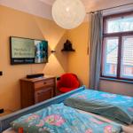 Schlafzimmer mit Bett, TV und Fenster. Blaue Bettwäsche mit Blumenmuster.