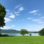 Grünes Gras am See mit Bäumen und Bergen im Hintergrund unter blauem Himmel.