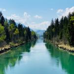 Ein ruhiger Fluss fließt durch einen Wald mit Bäumen und Bergen im Hintergrund.