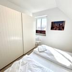 Zwei Betten mit weißen Bettwäschen, ein Fenster und ein Bild an der Wand.