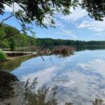 Ein ruhiger See mit spiegelglatter Oberfläche und umgebenden Bäumen unter blauem Himmel.