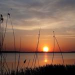 Sonnenuntergang über einem ruhigen See mit Schilf im Vordergrund.