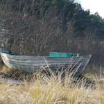 Ein hölzernes Boot steht im hohen Gras vor einem Wald.