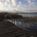 Holzsteg mit Metallgeländer führt ins Wasser. Im Hintergrund See und Ufervegetation.