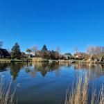 Seeufer mit Häusern und Bäumen unter blauem Himmel