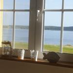 Blick aus dem Fenster auf einen See mit Grasland und Wald im Hintergrund.