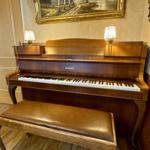 Ein Schimmel-Flügel mit Holzrahmen und Sitzbank steht in einem Raum mit Holzboden und Wandbild.