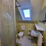 Badezimmer mit Toilette, Waschbecken und Dusche unter Dachfenster