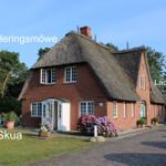Red brick house with thatched roof, surrounded by greenery and flowers.
