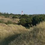 Red lighthouse stands on a wooded dune landscape under clear sky.
