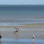 People stroll along the shore, while birds fly over the tidal flats.