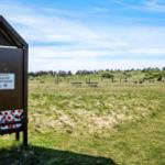 Football box with play area in grassland