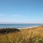 Strand mit Sandstrand und Meer, umgeben von hohem Gras und rosa Blumen.