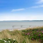 Strand mit Steg, Blumen und ruhigem Wasser unter blauem Himmel.