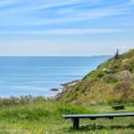 A long wooden bench sits on a grassy hill overlooking the sea and hills.