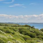 Green hillside with sea view under blue sky with white clouds.