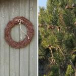 Holzdekoration und Kiefernzweige an einer Holzwand