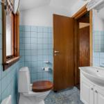 Bathroom with toilet, sink, and wooden door. Blue tiles on the walls.