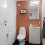 Bathroom with toilet, sink, and mirror on orange wall.