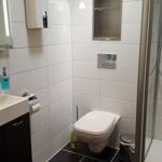 Badezimmer mit Dusche, Toilette und Waschbecken.