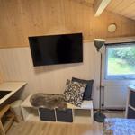 Zimmer mit TV, Schreibtisch, Bett und Fenster mit Pflanze.