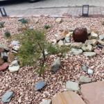 Garten mit Kies, Steinen und kleinem Baum. Zentraler runder Brunnen.