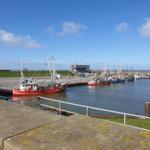 Hafen mit mehreren Fischkähnen und einem modernen Gebäude im Hintergrund.