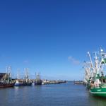 Hafen mit mehreren Fischkatzentörnern und klarem Himmel.