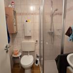 Badezimmer mit Dusche, Toilette und Waschbecken.