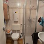 Badezimmer mit Dusche, WC und Waschbecken. Holzdielenboden und Fliesenwand.