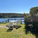 Terrasse mit Tisch und Stühlen am See mit Lilienhecke.