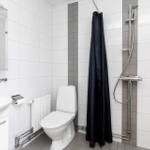 Badezimmer mit Toilette, Dusche und Waschbecken.