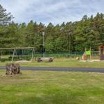 Grüner Spielplatz mit Schaukel, Klettergerüst und Holzbank. Hintergrund: Wald.