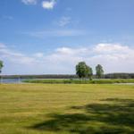 Grünes Feld mit Fußballtoren am See. Hintergrund: Wald und blauer Himmel.