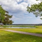 Grüner Park mit Weg, See und Bäumen unter blauem Himmel.