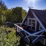 Holzhütte mit Balkon, umgeben von Wald und Grünfläche.