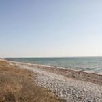 Steiniger Strand mit Seeufer und zwei Schwänen im Wasser.