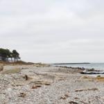 Steiniger Strand mit Bäumen und Meer im Hintergrund.
