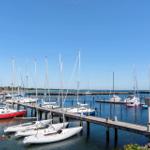 Marina mit Segelyachten und Steg unter blauem Himmel.