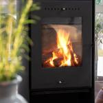 Black wood-burning stove with glass door in living area.