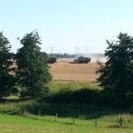 Blick vom Hof zur Erntezeit