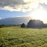 Umgeben von Wiesen und Wälder