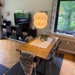 Essbereich mit Holztisch, Stühlen und Fensterblick auf Wald.