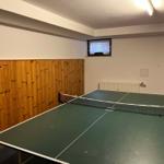 Tischtennisplatte mit Netz in Raum mit Holzwand und Fenster