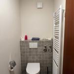 Badezimmer mit Toilette, Heizkörper und Duschbereich.