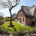 House with thatched roof and green garden. Wooden bench under tree.